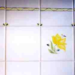 Claudine Gaillard